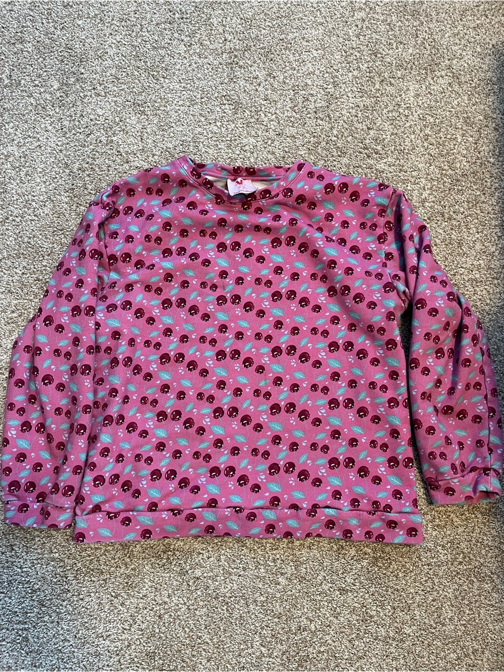 Little Victory x Hayley Elsaesser Cherry Print Cotton Pullover Sweatshirt Size L
